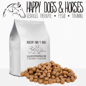 Healthy Food 4 Dogs | Super Premium Salmon & Rice 10kg